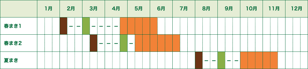 レタスのカレンダー