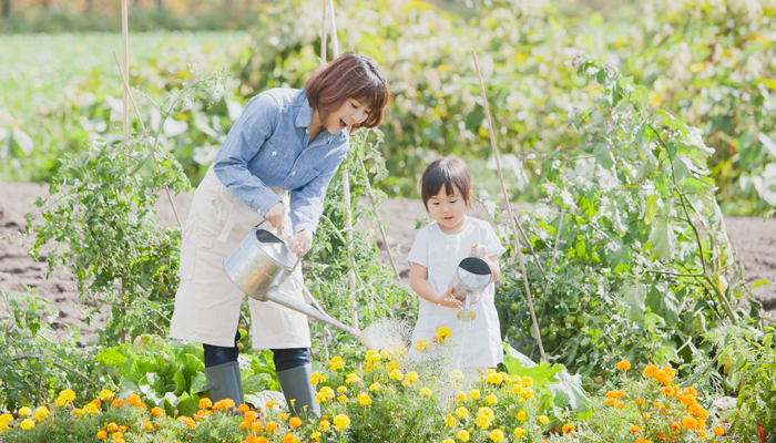 家庭菜園と庭木のこと